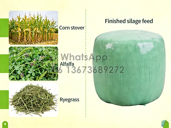 How to Choose Silage Equipment: A Complete Guide for Farmers